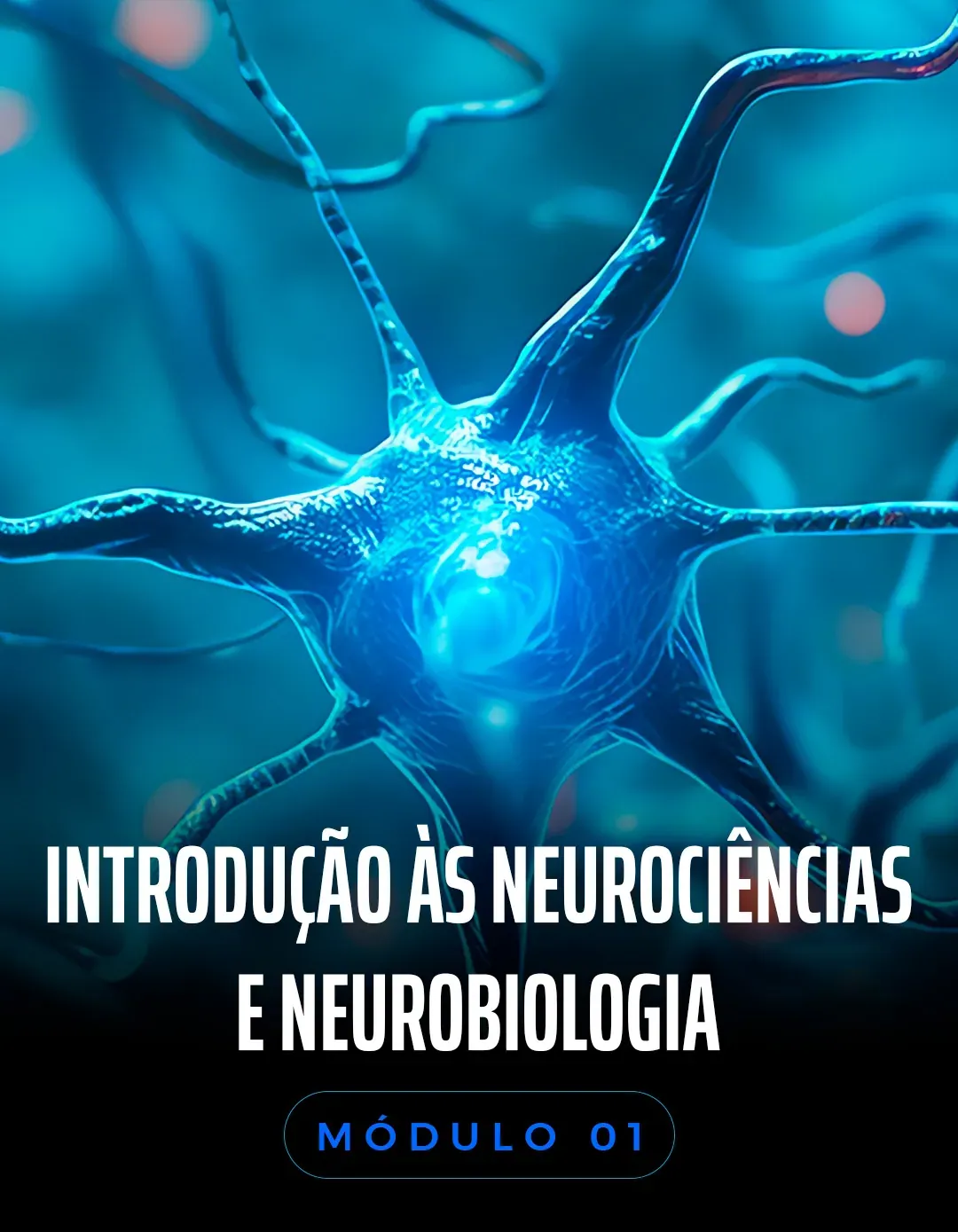 As bases: neurônio e neurotransmissores