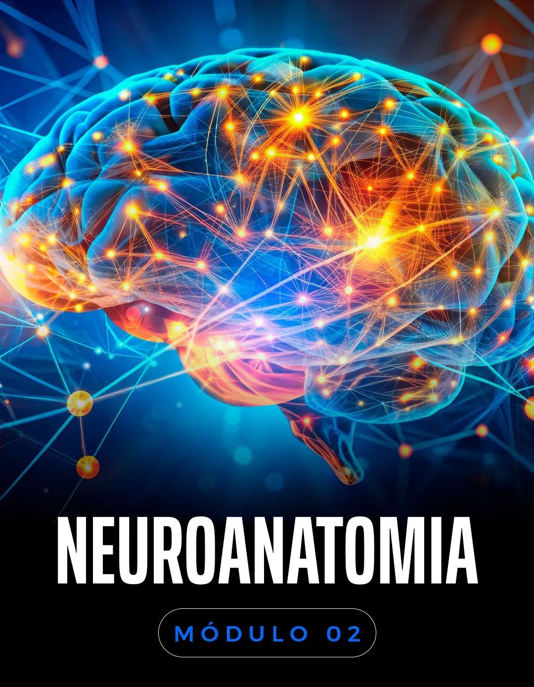 Neuroanatomia: mapear o cérebro