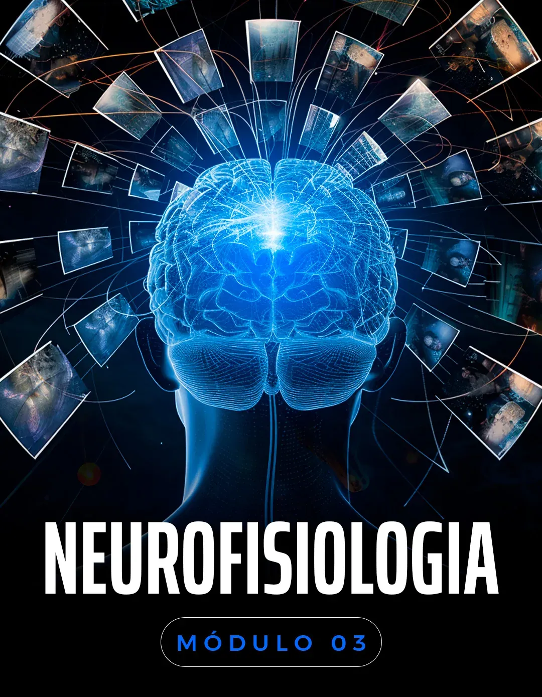 Neurofisiologia: como tudo funciona junto